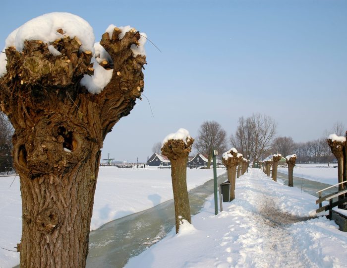 Winter op de Zaanse Schans