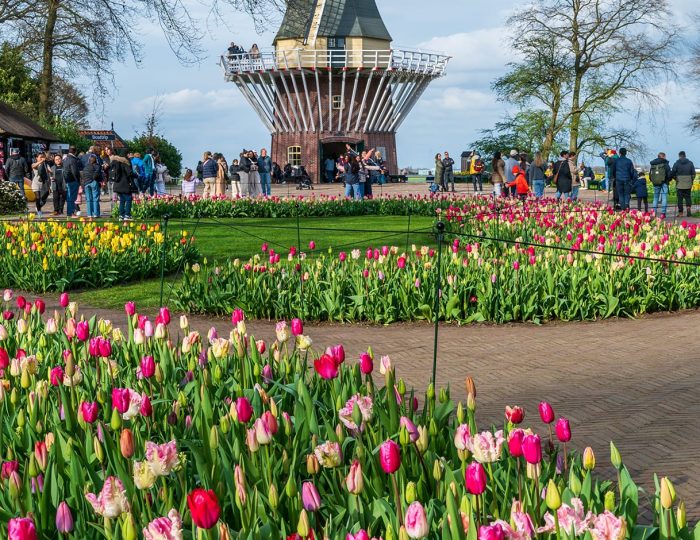75th anniversary Keukenhof