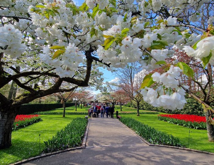 Keukenhof Dutch Spring Gardens